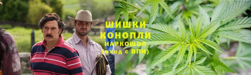 Конопля планчик  Коммунар 